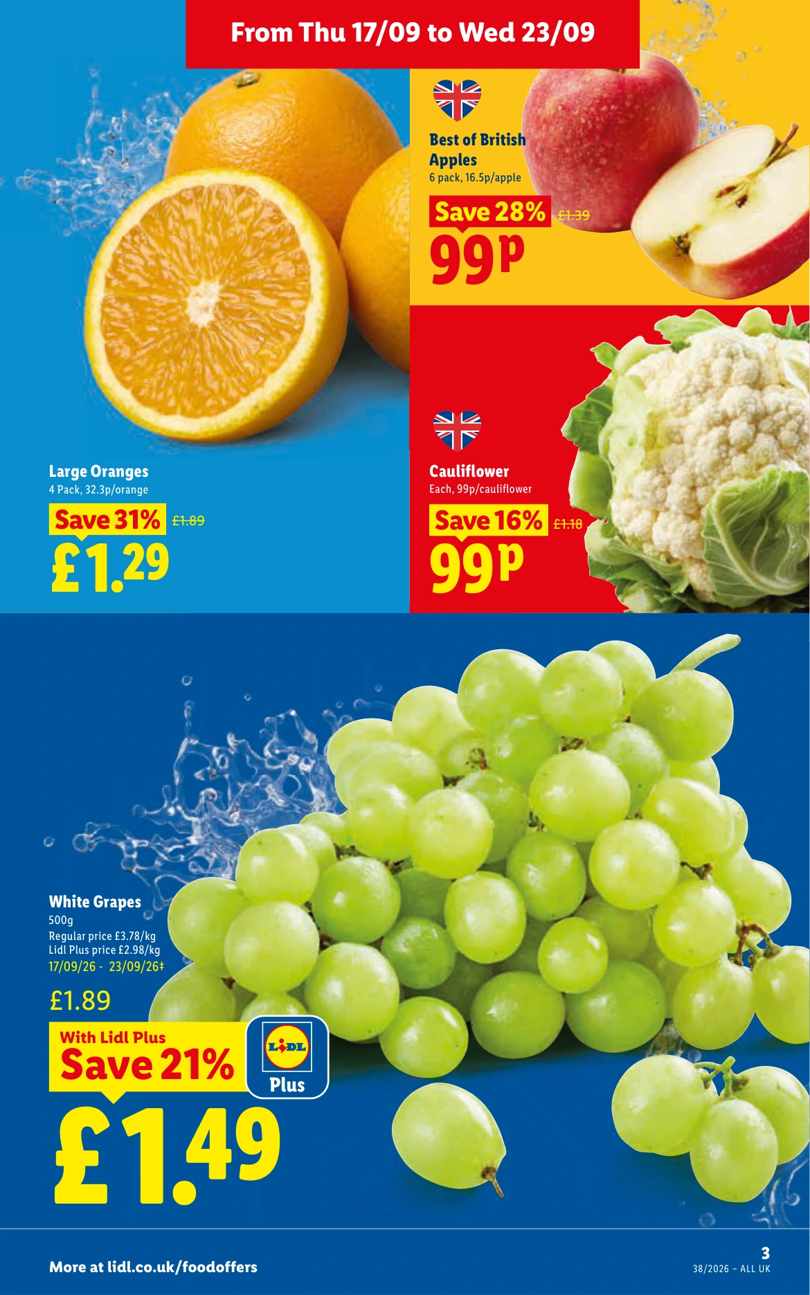 Flyer page 3