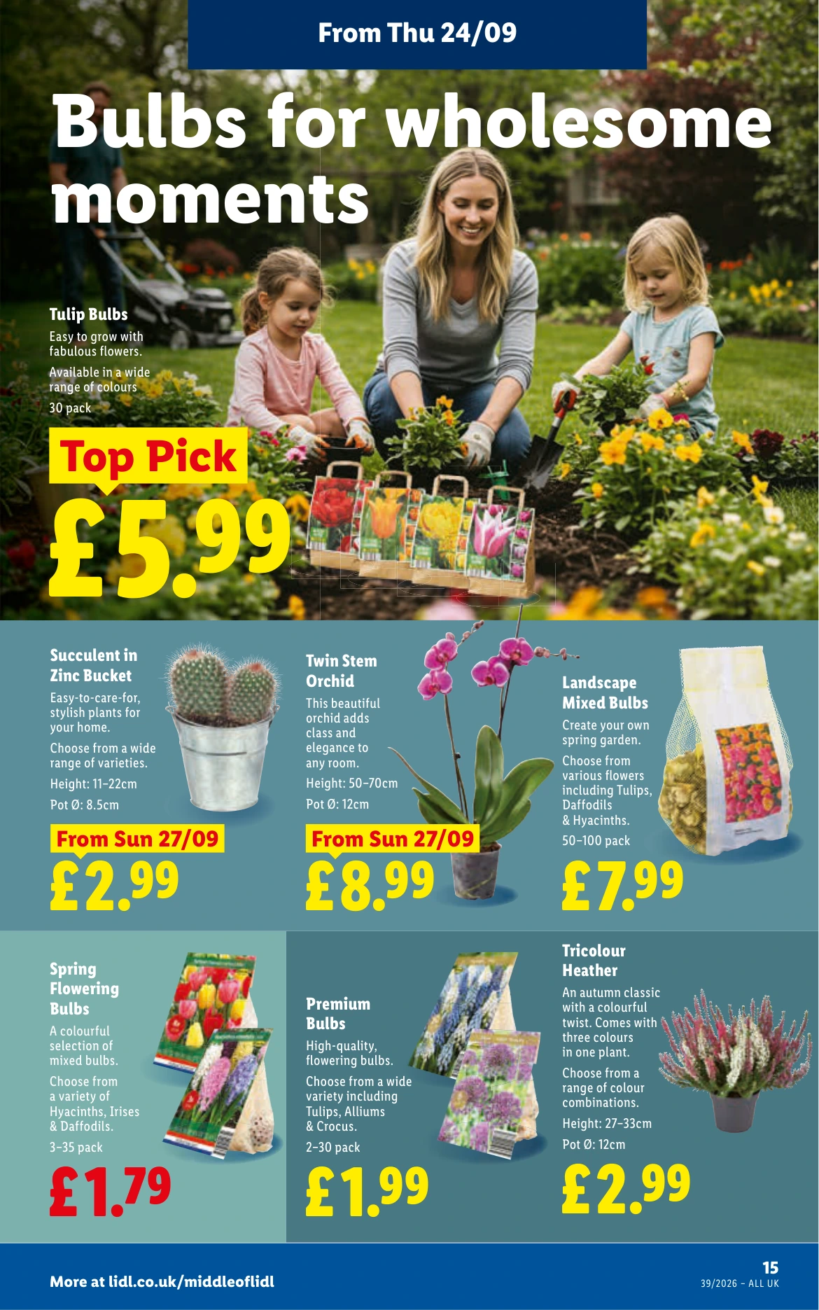 Flyer page 17