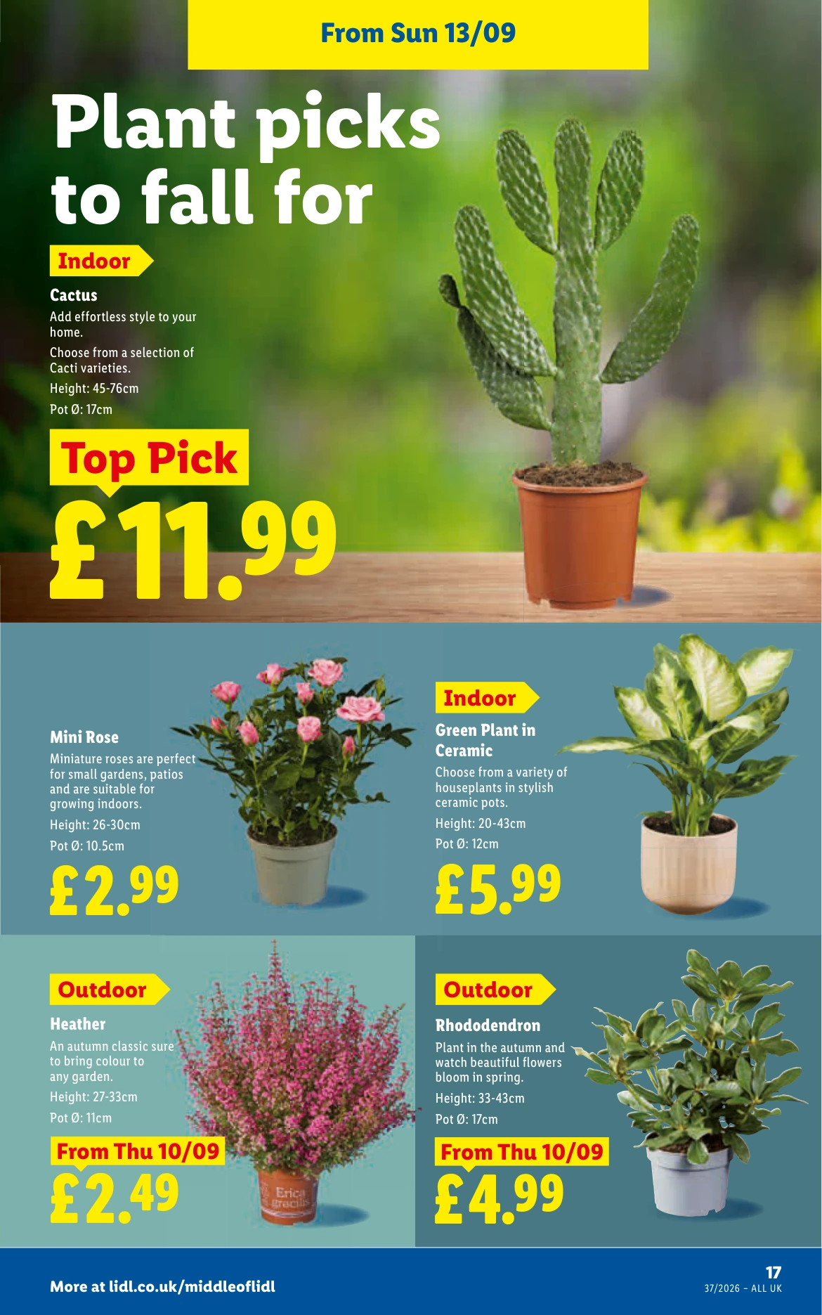 Flyer page 19