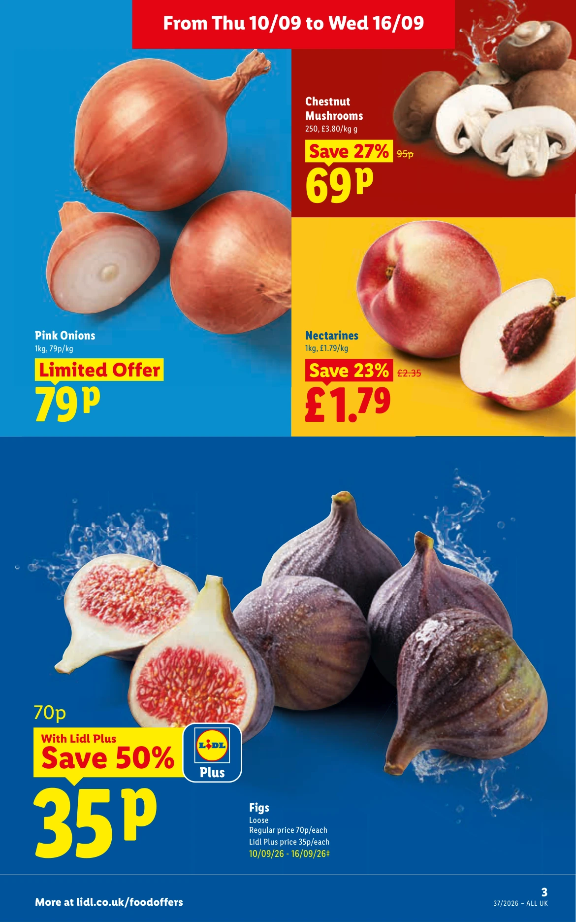 Flyer page 3