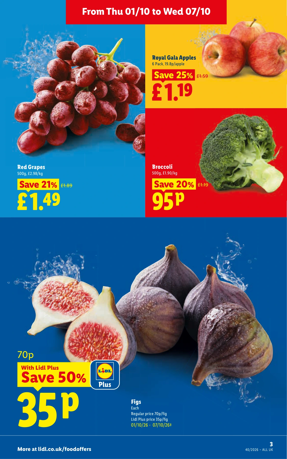 Flyer page 3