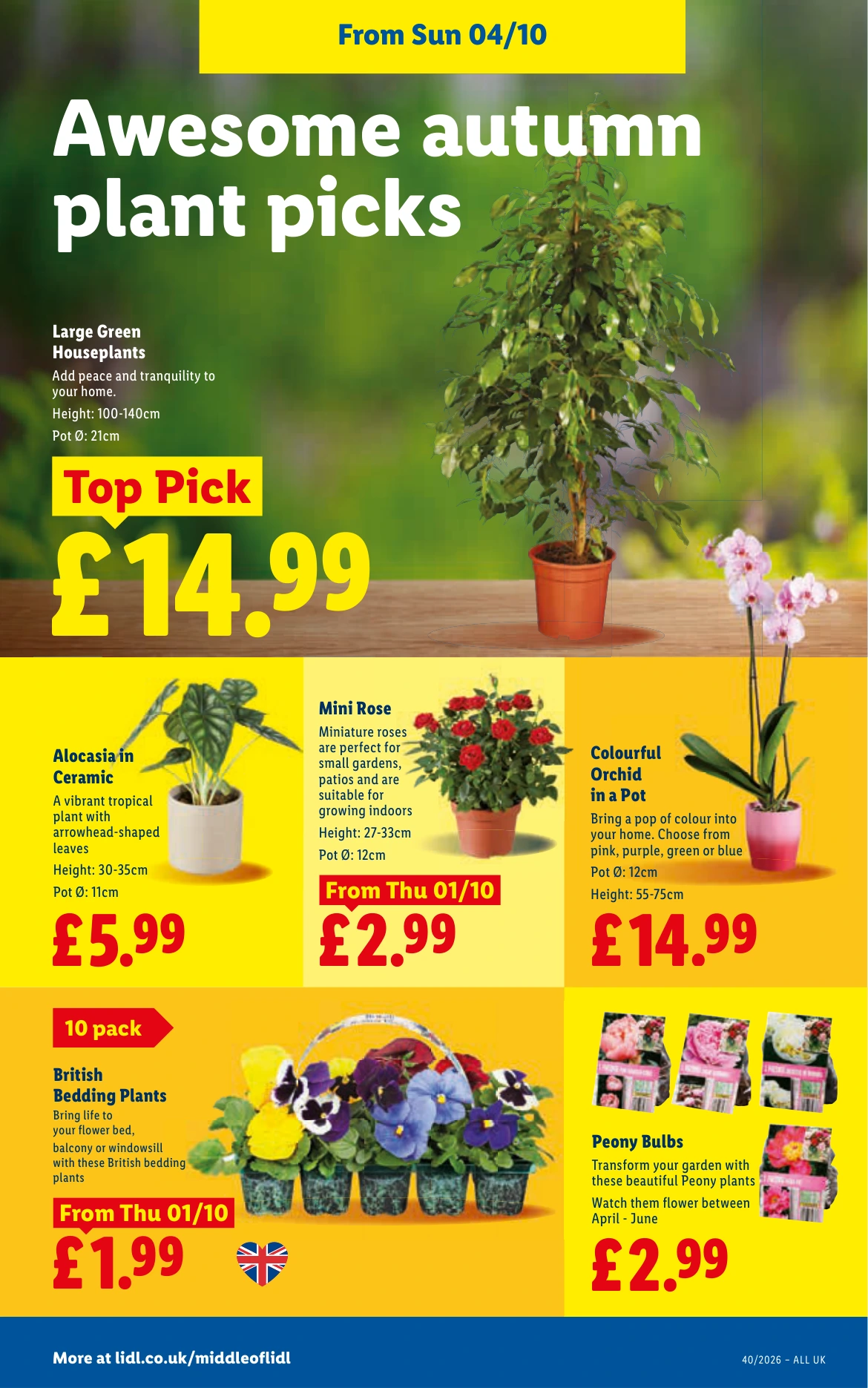 Flyer page 32